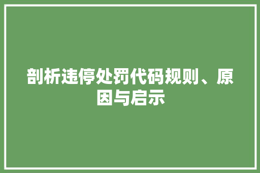 剖析违停处罚代码规则、原因与启示