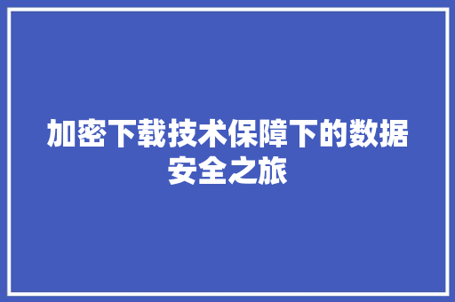 加密下载技术保障下的数据安全之旅