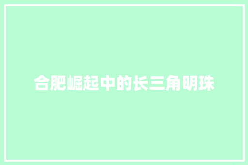 合肥崛起中的长三角明珠
