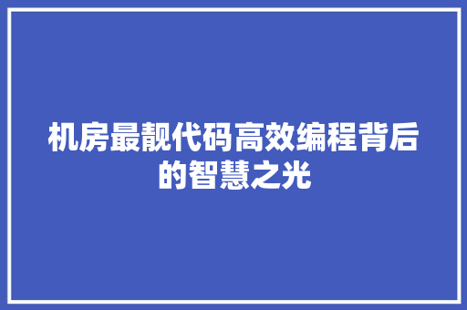 机房最靓代码高效编程背后的智慧之光