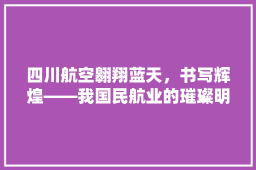 四川航空翱翔蓝天，书写辉煌——我国民航业的璀璨明珠