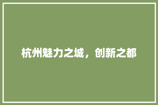 杭州魅力之城，创新之都