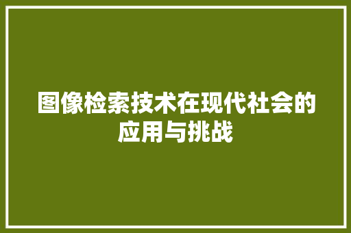 图像检索技术在现代社会的应用与挑战