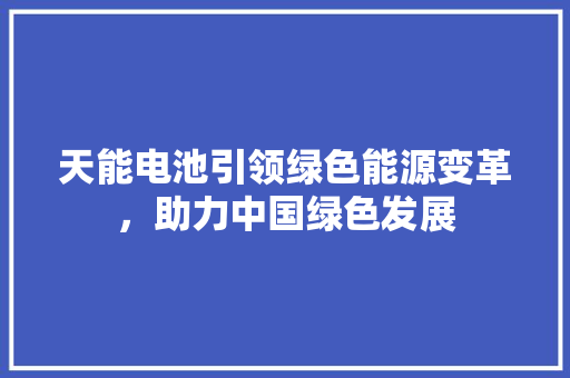 天能电池引领绿色能源变革，助力中国绿色发展