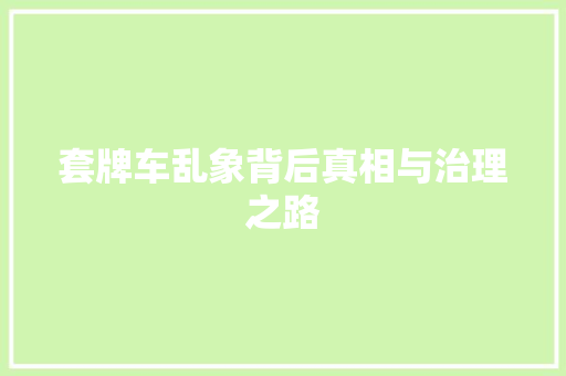 套牌车乱象背后真相与治理之路