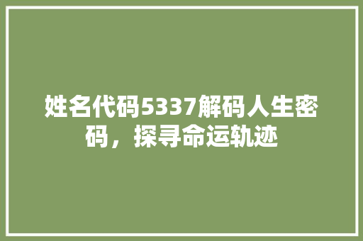 姓名代码5337解码人生密码，探寻命运轨迹