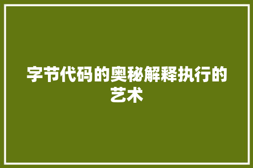 字节代码的奥秘解释执行的艺术