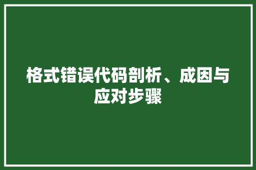 格式错误代码剖析、成因与应对步骤