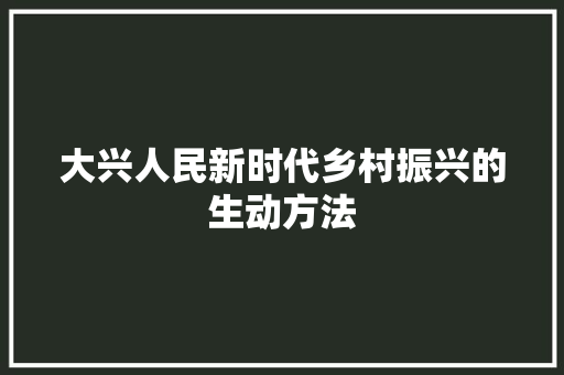 大兴人民新时代乡村振兴的生动方法