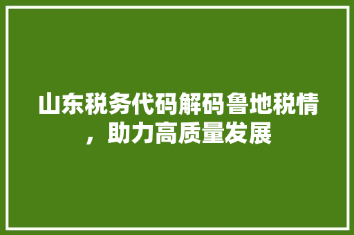 山东税务代码解码鲁地税情，助力高质量发展