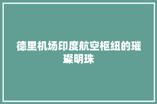 德里机场印度航空枢纽的璀璨明珠
