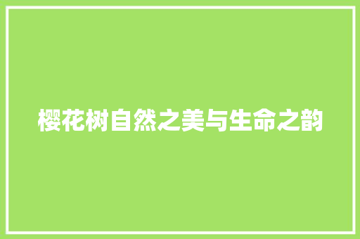 樱花树自然之美与生命之韵