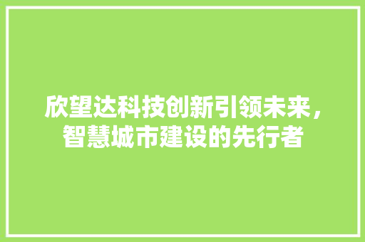 欣望达科技创新引领未来，智慧城市建设的先行者  第1张