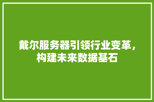 戴尔服务器引领行业变革，构建未来数据基石