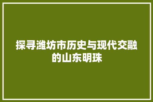探寻潍坊市历史与现代交融的山东明珠  第1张