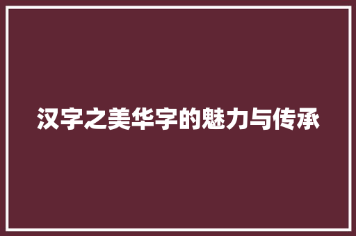 汉字之美华字的魅力与传承