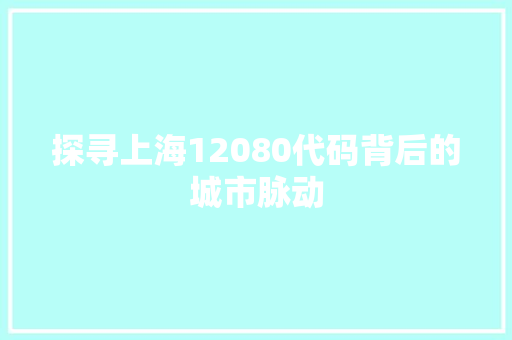 探寻上海12080代码背后的城市脉动