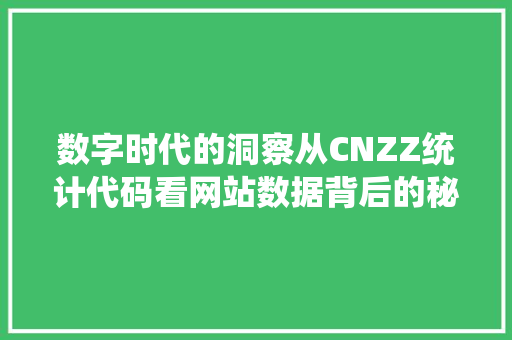 数字时代的洞察从CNZZ统计代码看网站数据背后的秘密