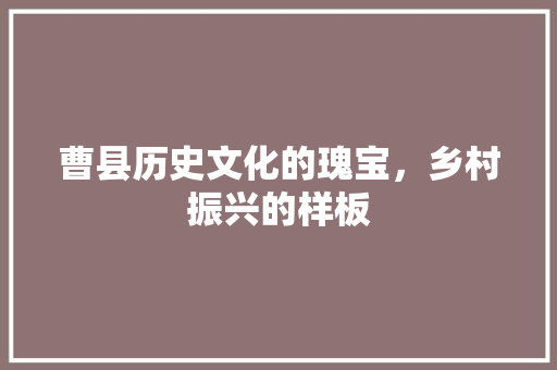 曹县历史文化的瑰宝，乡村振兴的样板