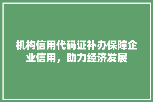 机构信用代码证补办保障企业信用，助力经济发展