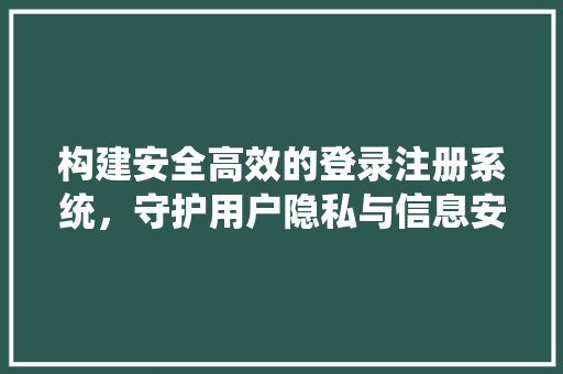 构建安全高效的登录注册系统，守护用户隐私与信息安全