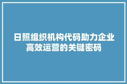 日照组织机构代码助力企业高效运营的关键密码
