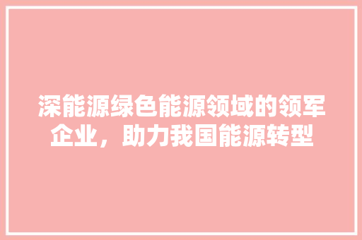 深能源绿色能源领域的领军企业，助力我国能源转型