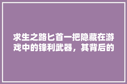 求生之路匕首一把隐藏在游戏中的锋利武器，其背后的故事与代码奥秘