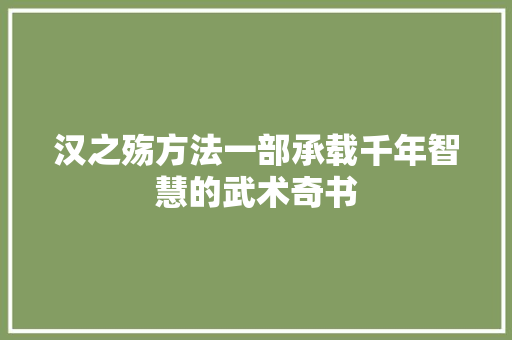 汉之殇方法一部承载千年智慧的武术奇书