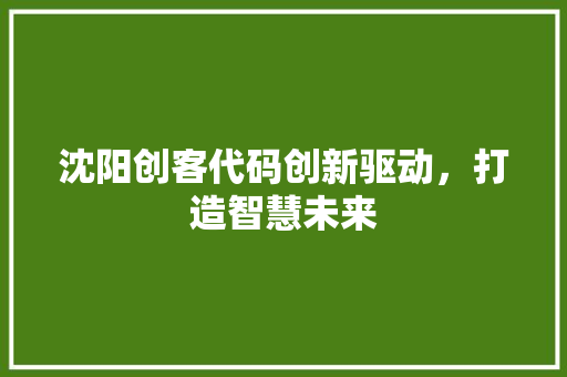 沈阳创客代码创新驱动，打造智慧未来
