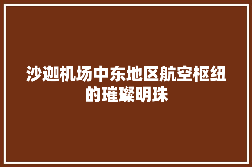 沙迦机场中东地区航空枢纽的璀璨明珠