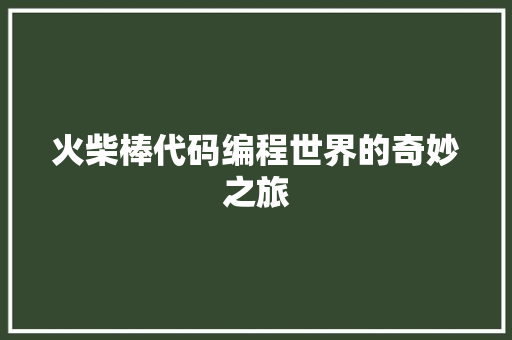 火柴棒代码编程世界的奇妙之旅  第1张