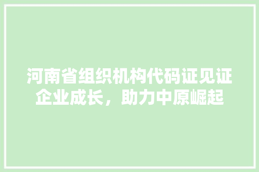 河南省组织机构代码证见证企业成长，助力中原崛起