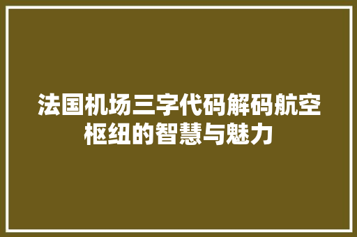 法国机场三字代码解码航空枢纽的智慧与魅力