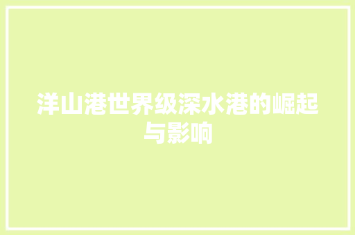 洋山港世界级深水港的崛起与影响
