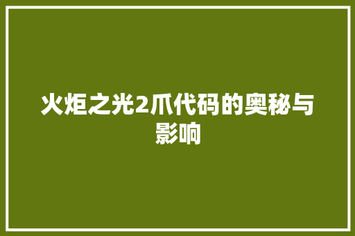 火炬之光2爪代码的奥秘与影响