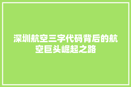 深圳航空三字代码背后的航空巨头崛起之路