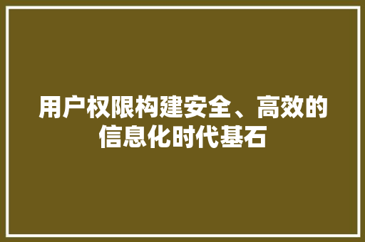 用户权限构建安全、高效的信息化时代基石