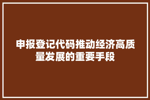 申报登记代码推动经济高质量发展的重要手段