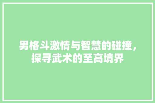 男格斗激情与智慧的碰撞，探寻武术的至高境界