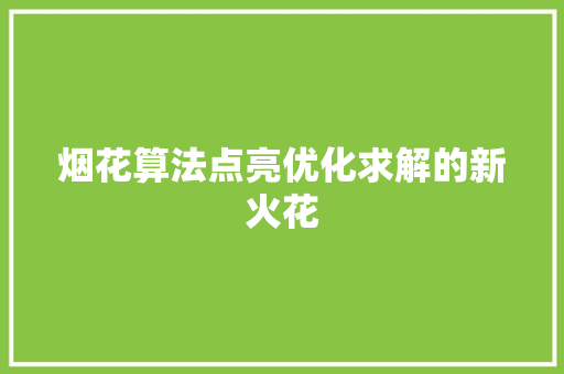 烟花算法点亮优化求解的新火花