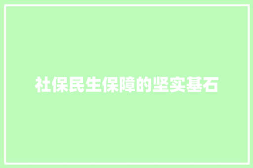 社保民生保障的坚实基石