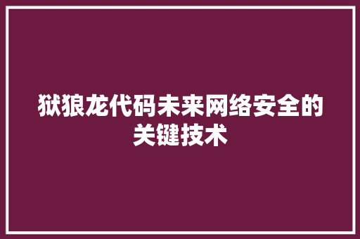 狱狼龙代码未来网络安全的关键技术