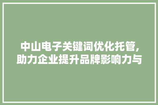 中山电子关键词优化托管,助力企业提升品牌影响力与市场竞争力