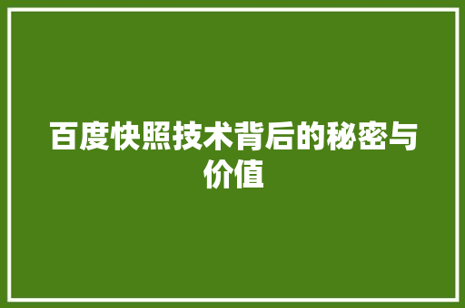 百度快照技术背后的秘密与价值
