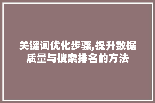 关键词优化步骤,提升数据质量与搜索排名的方法  第1张
