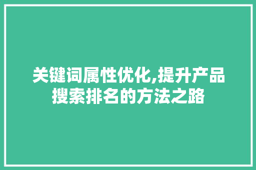关键词属性优化,提升产品搜索排名的方法之路
