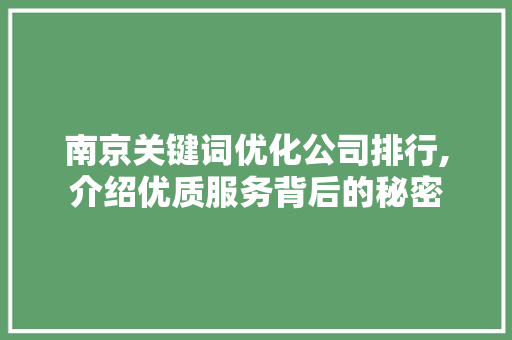 南京关键词优化公司排行,介绍优质服务背后的秘密