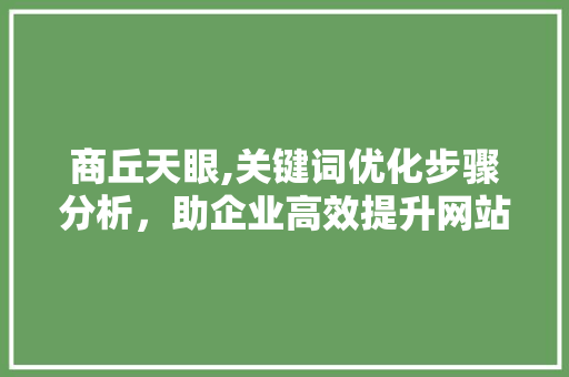 商丘天眼,关键词优化步骤分析，助企业高效提升网站排名