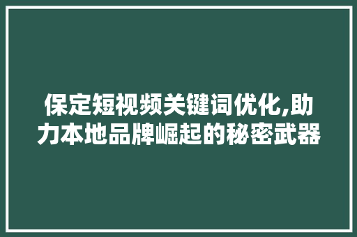 保定短视频关键词优化,助力本地品牌崛起的秘密武器  第1张